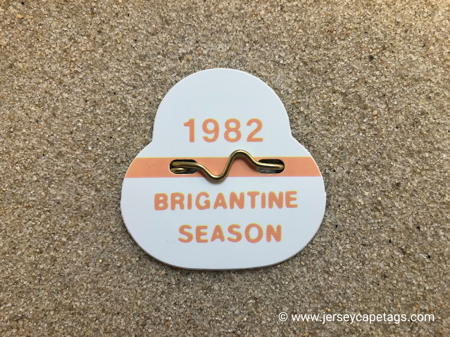 RETRO Brigantine 1982 Seasonal Beach Tag