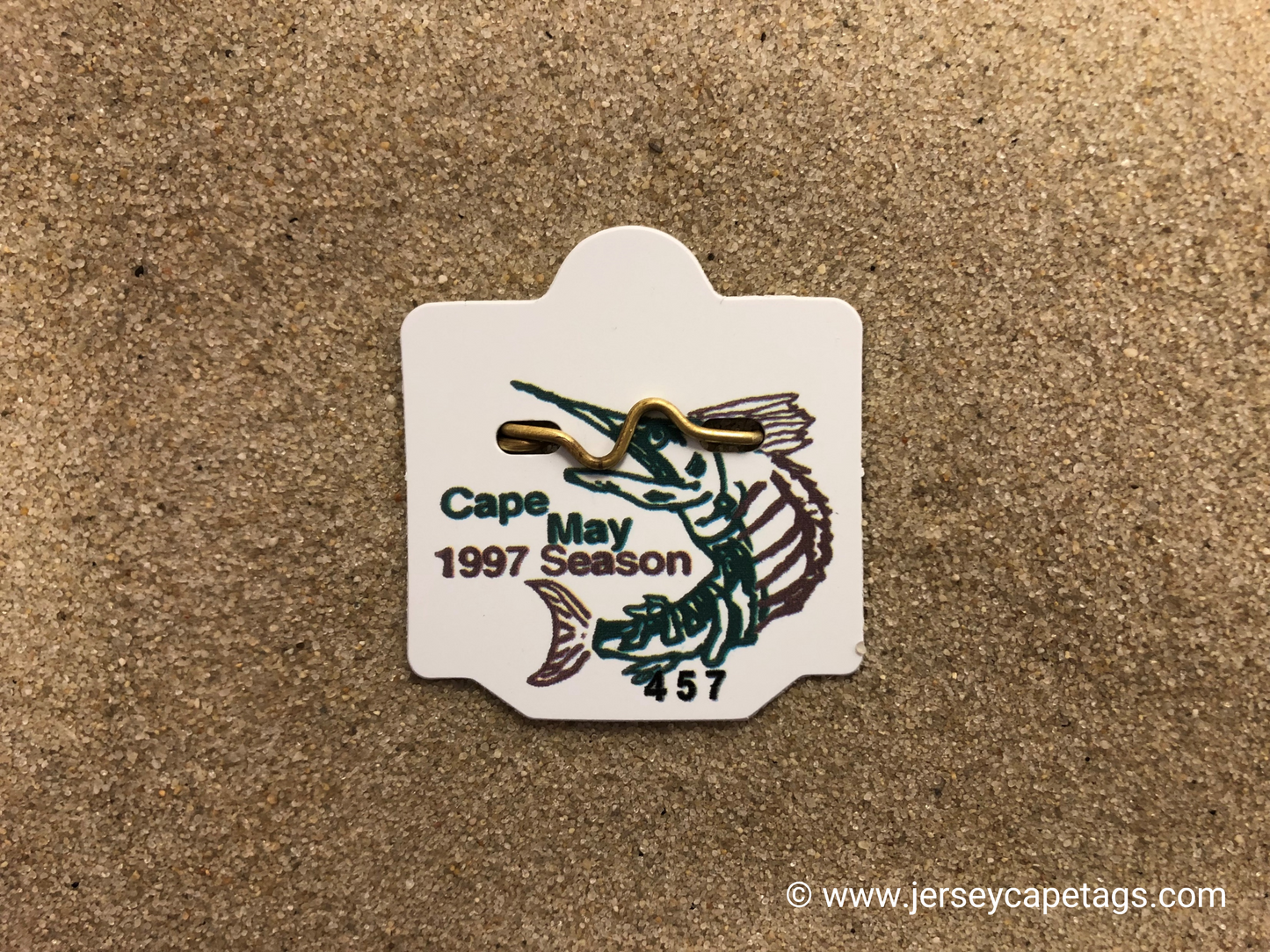 RETRO Cape May 1997 Seasonal Beach Tag