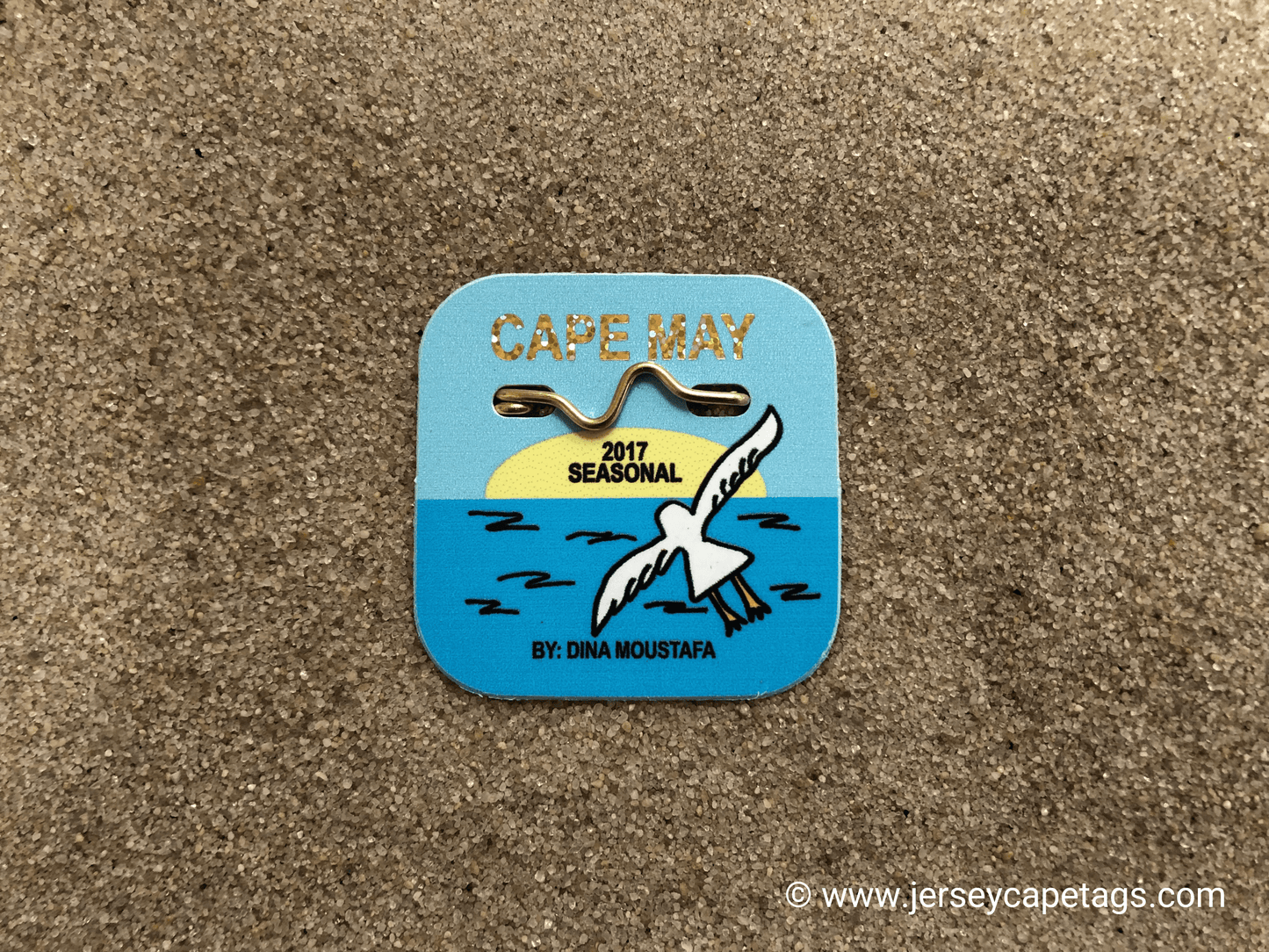 RETRO Cape May 2017 Seasonal Beach Tag
