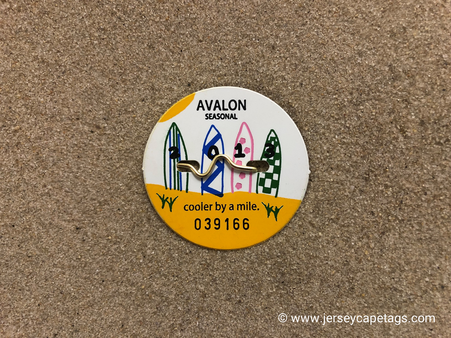 RETRO Avalon 2013 Seasonal Beach Tag
