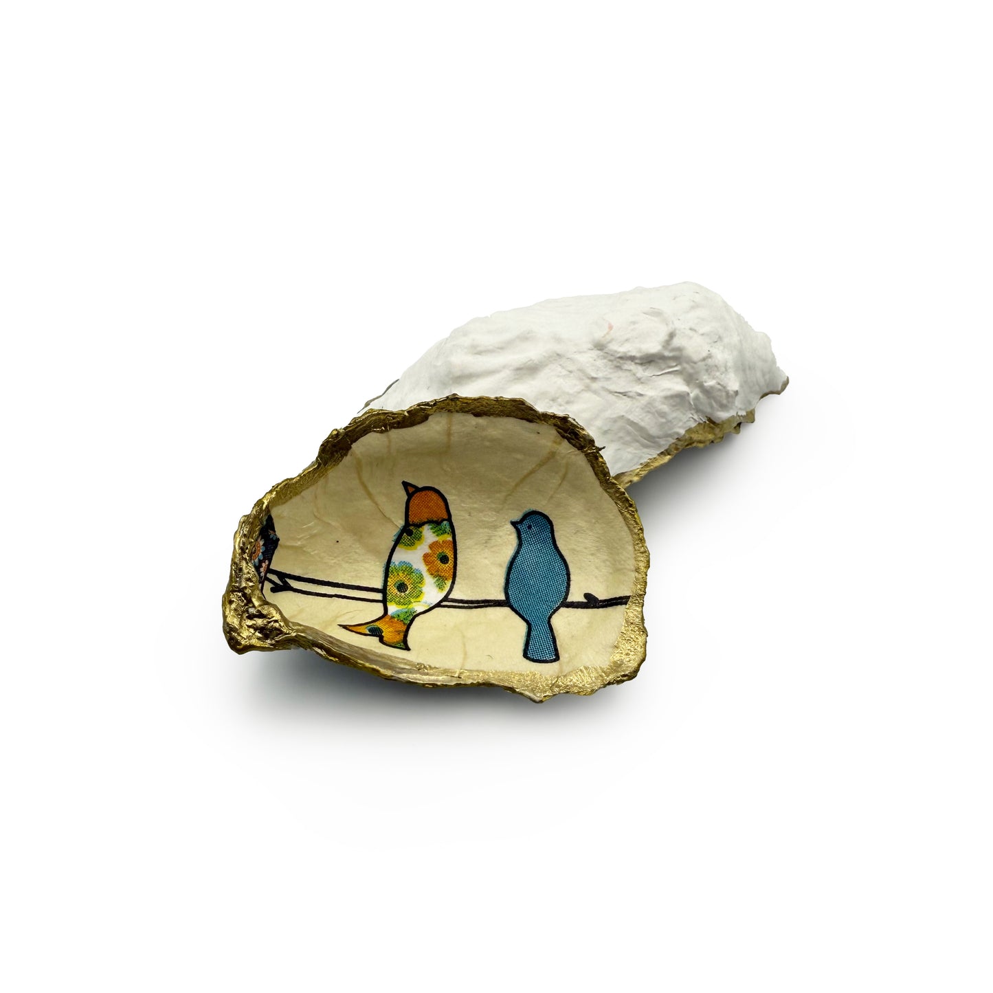 Shell Shack Designer Shells