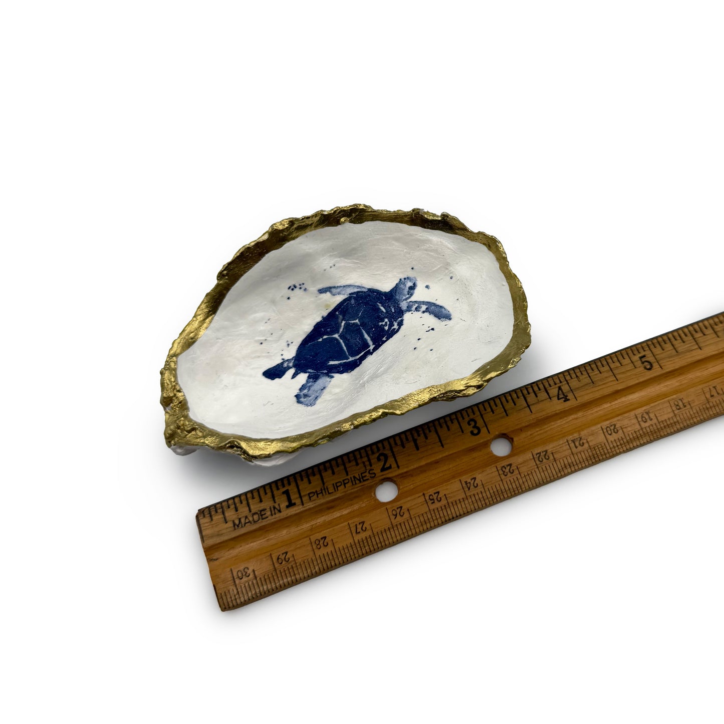 Shell Shack Designer Shells