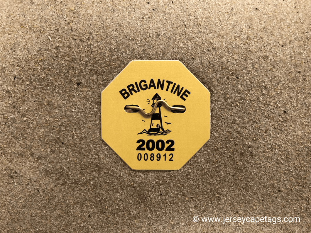 Brigantine 2002 Seasonal Beach Tag