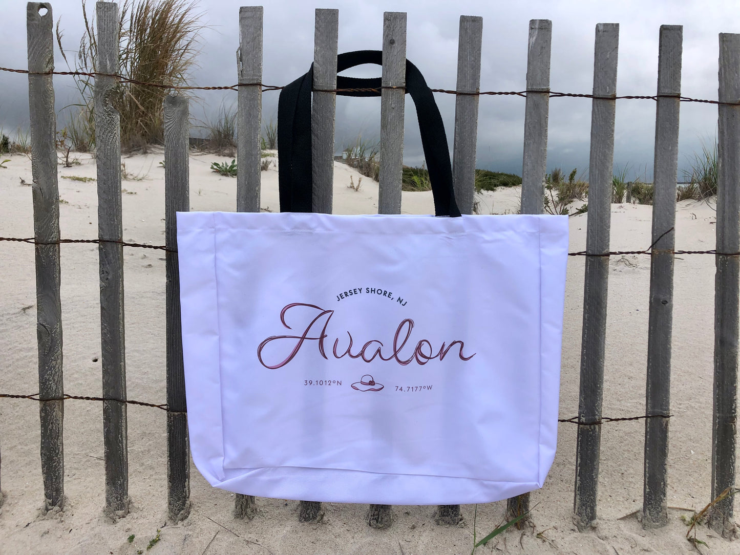 Town Traveler Beach Tote